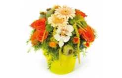 Composition Ronde Mignon