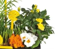 Coupe De Plante Le Jardin D'Abel -L’Agitateur Floral Boutique coupe de plante le jardin d abel 2