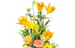 Coussin En Hauteur Jaune & Orange "Apollon" -L’Agitateur Floral Boutique coussin en hauteur jaune orange apollon 2