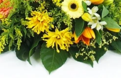 Coussin En Hauteur Jaune & Orange "Apollon" -L’Agitateur Floral Boutique coussin en hauteur jaune orange apollon 3