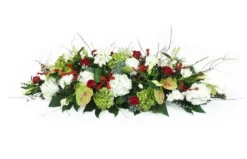 Dessus De Cercueil Rouge & Blanc "Odysseus"