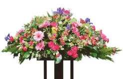 Fleurs De Deuil Solstice