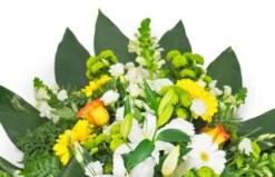 Gerbe De Fleurs Jaunes Oranges & Blanches 6 Gerbe De Fleurs Jaunes Oranges & Blanches -L’Agitateur Floral Boutique gerbe de fleurs jaunes oranges blanches 2
