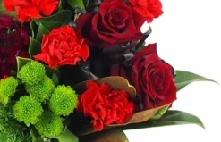 Gerbe De Fleurs Rouge & Verte "Zeus" -L’Agitateur Floral Boutique gerbe de fleurs rouge verte zeus 2