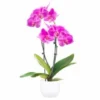 Orchidée Double Branche Rose Mauve