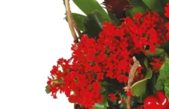 Panier De Plantes Antho Le Jardinier -L’Agitateur Floral Boutique panier de plantes antho le jardinier 2