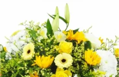 Raquette De Deuil Jaune & Blanche "Pluton" -L’Agitateur Floral Boutique raquette de deuil jaune blanche pluton 2