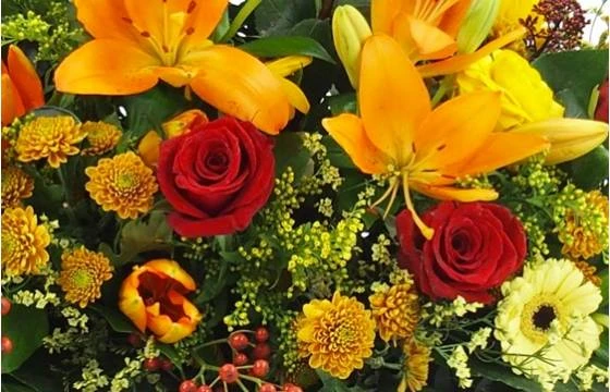 Raquette De Deuil Orange & Rouge "Hélios" 2 Raquette De Deuil Orange & Rouge "Hélios" – Image 2