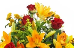 Raquette De Deuil Orange & Rouge "Hélios" 6 Raquette De Deuil Orange & Rouge "Hélios" -L’Agitateur Floral Boutique raquette de deuil orange rouge helios 2