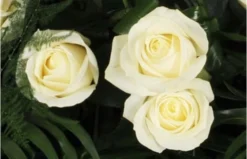 Raquette De Roses Blanches L'Ange Gardien -L’Agitateur Floral Boutique raquette de roses blanches l ange gardien 2