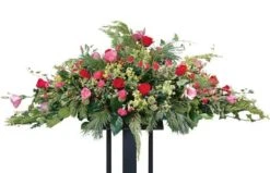 Raquette Rouges & Roses Crépuscule